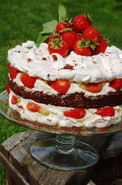 tort bezowo-czekoladowy z truskawkami_tort na lato_tort bezowy_tort bezglutenowy