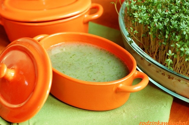 Wiosenna zupa z rzeżuchy_zupa krem_danie wegetariańskie_lekka kuchnia